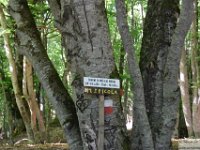 2026-06-13 Da m. San Nicola al Sirente 045